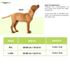 Trixie Extra Wide Premium Collar for Dogs (Black)