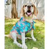 Dogobow Tropicana Shirt for Dogs and Cats (Aqua Blue) (Get a Bow Free) Dogs-Clothing & Accessories Dogobow Dropship XS