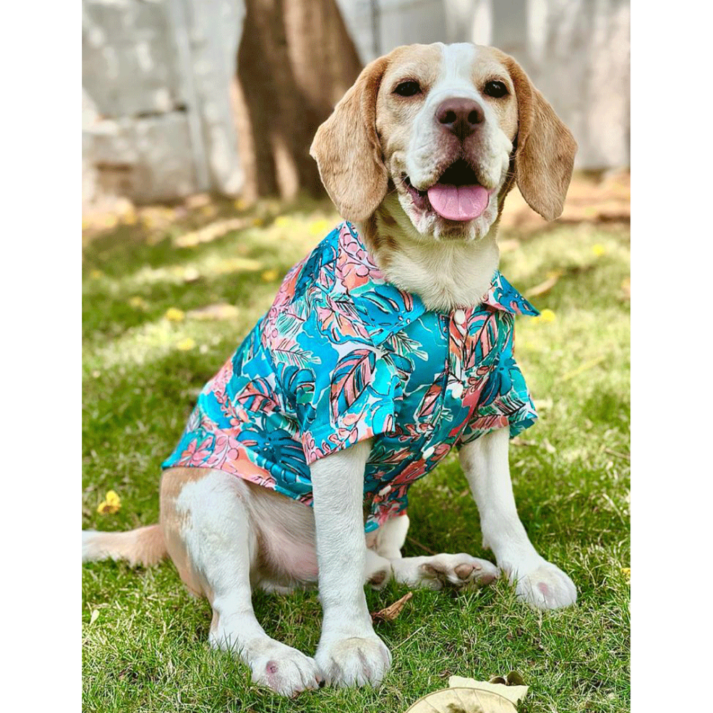 Dogobow Tropicana Shirt for Dogs and Cats (Aqua Blue) (Get a Bow Free)
