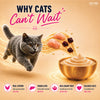 Kitty Yums Lickable Tuna & Bonito Creamy Cat Treat Cats-Treats & Others Kitty Yums