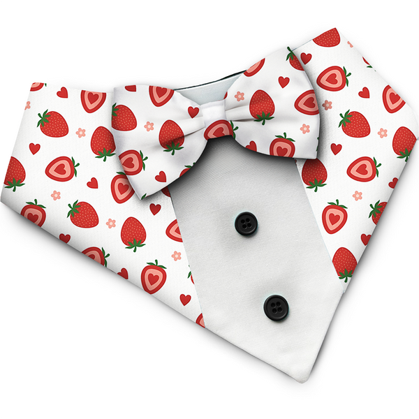 PawsIndia Strawberry Pattern Tuxedo Bandana with Matching Bow for Dogs and Cats