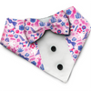 PawsIndia Birdsong Pattern Tuxedo Bandana with Matching Bow for Dogs and Cats Both-Clothing & Accessories Pawsindia Dropship M