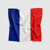 Skatrs France Flag Supporter Bandana for Pets & Pet Parents