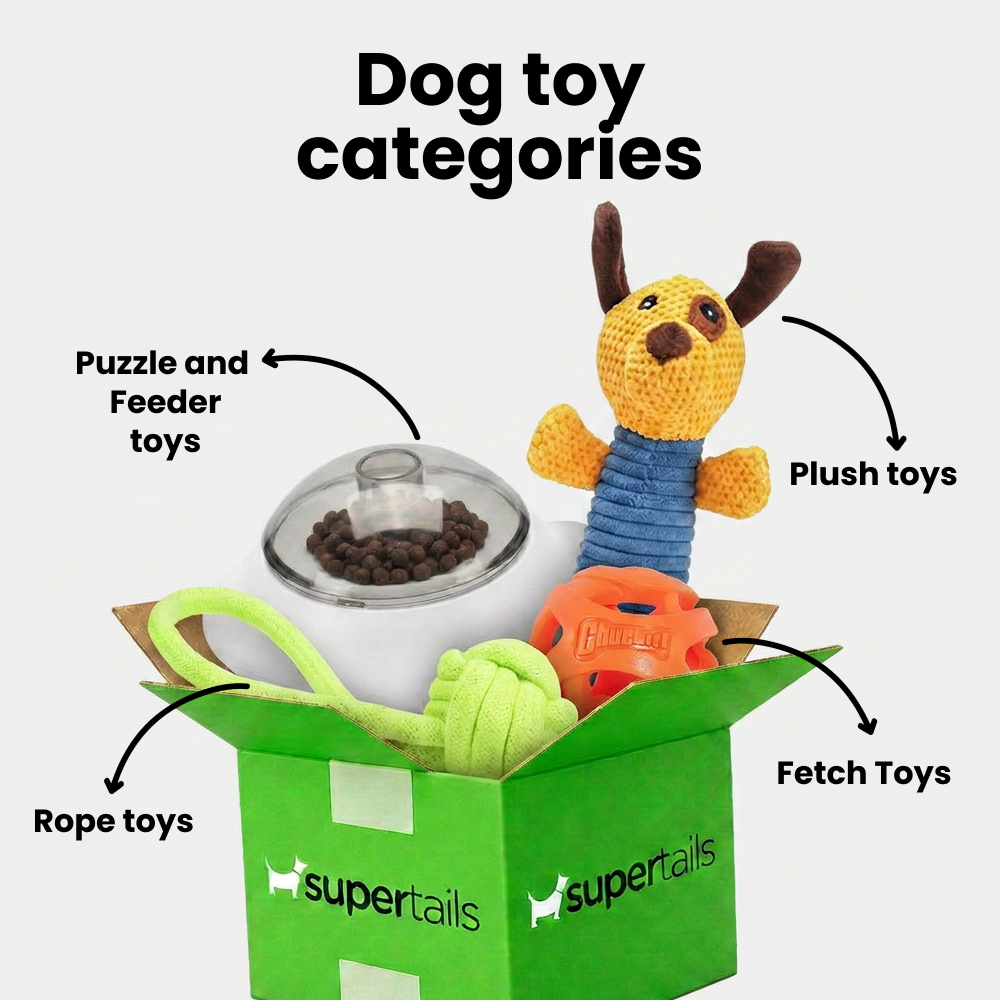 Skatrs Giggle Pet Sound Ball Toy for Dogs and Cats (Green) Both-Toys Skatrs