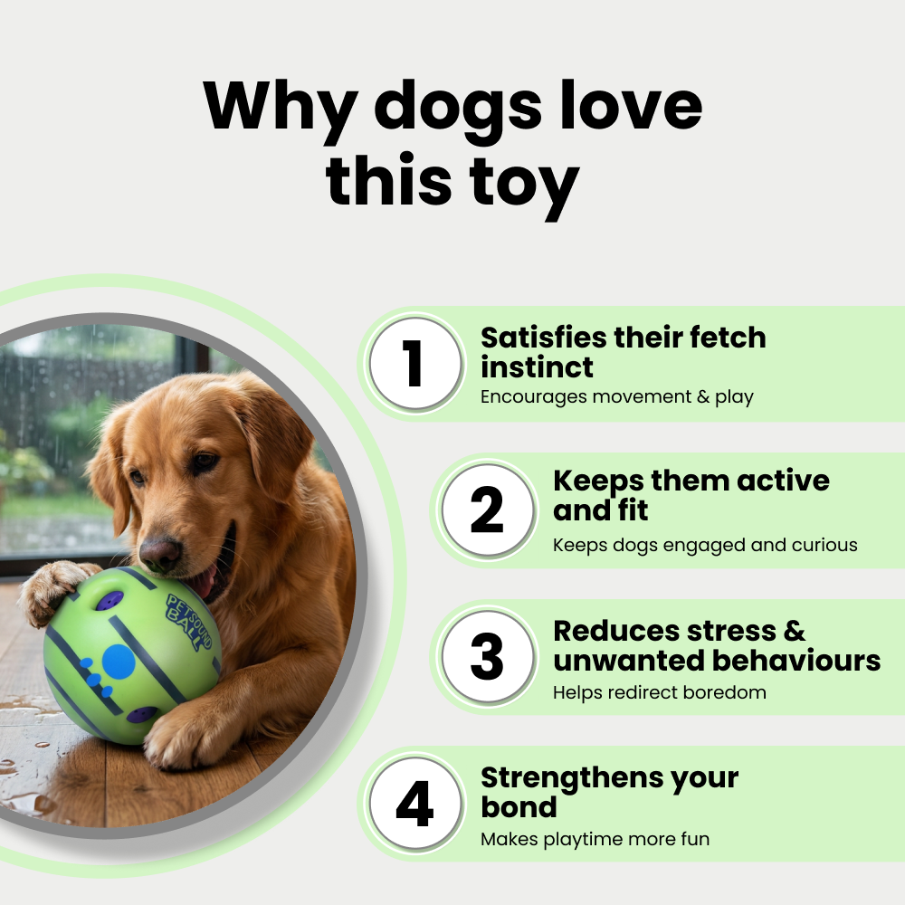 Skatrs Giggle Pet Sound Ball Toy for Dogs and Cats (Green) Both-Toys Skatrs