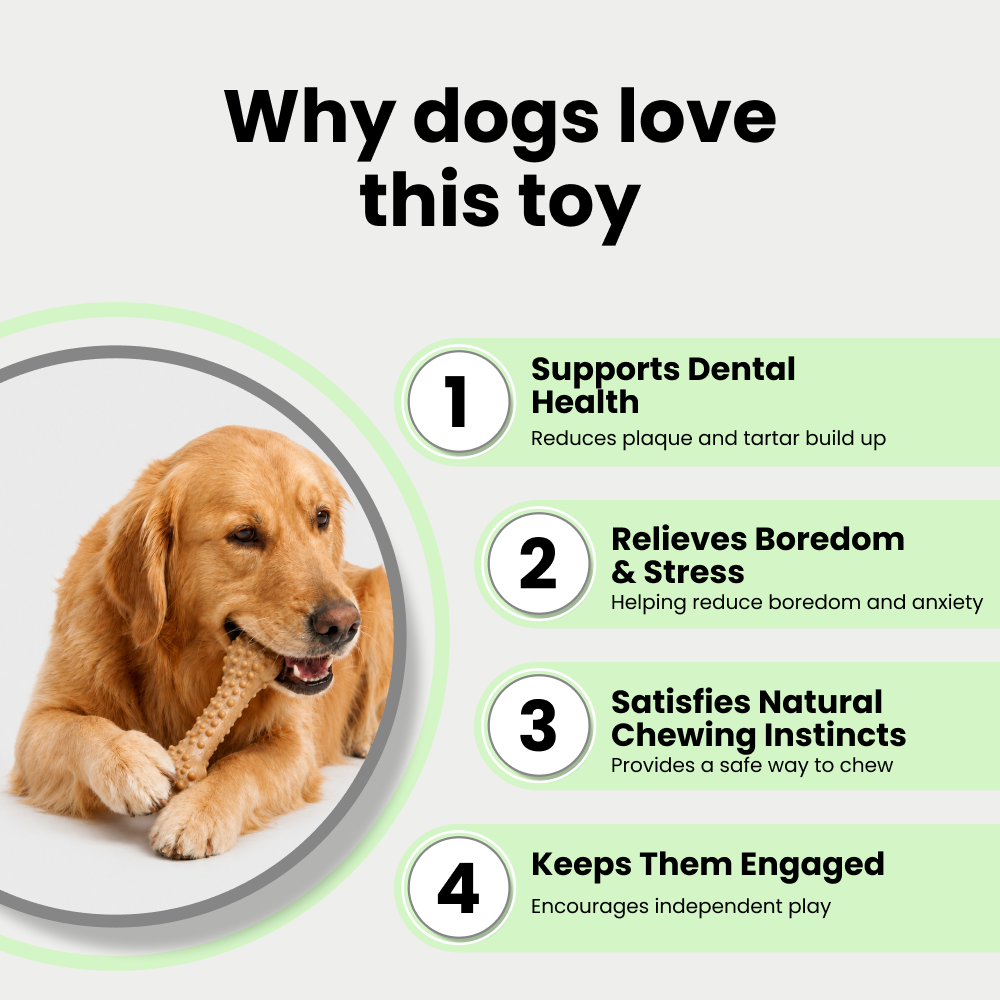 Barkbutler x Fofos Woodplay Brush Bone Toy for Dogs | For Chewers (Brown) Dogs-Toys Barkbutler