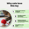 Talking Dog Club Automatic Rotating Interactive LED Ball for Cats, Kittens and Puppies (Red) Cats-Toys Talking Dog Club Dropship