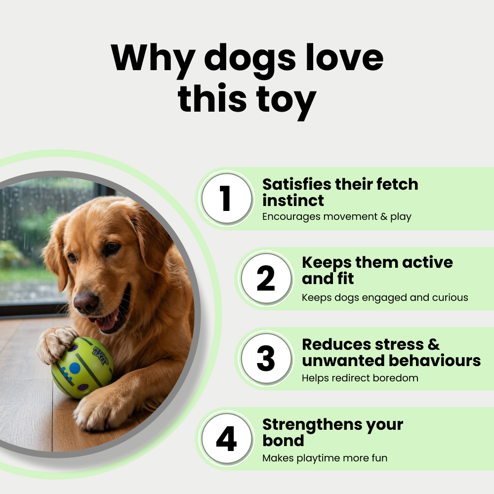 Skatrs Giggle Pet Sound Ball Toy for Dogs and Cats (Green) Both-Toys Skatrs