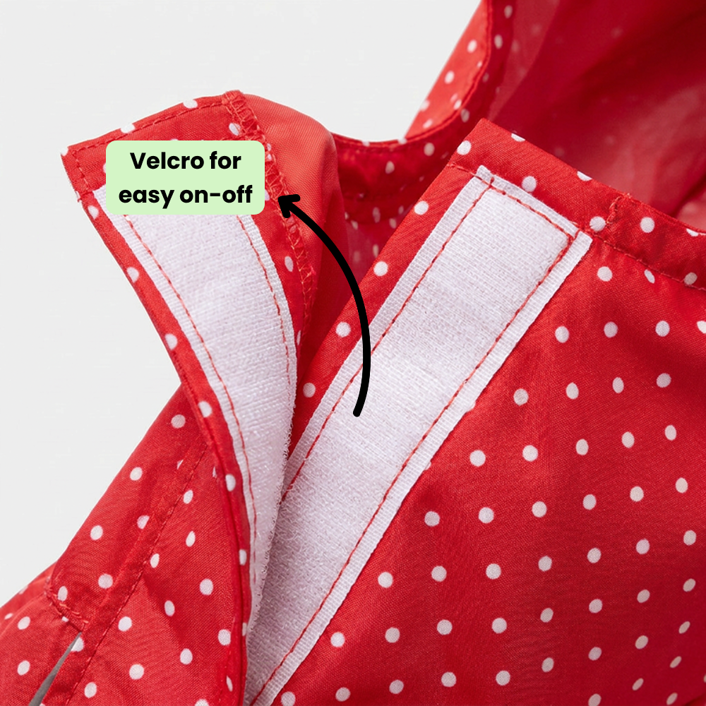 Skatrs Rain Ranger Raincoat for Dogs (Red) Dogs-Clothing & Accessories Skatrs