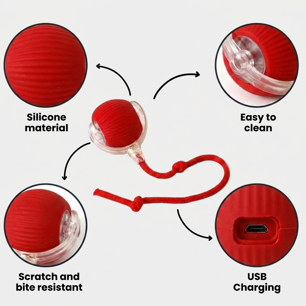 Talking Dog Club Automatic Rotating Interactive LED Ball for Cats, Kittens and Puppies (Red) Cats-Toys Talking Dog Club Dropship