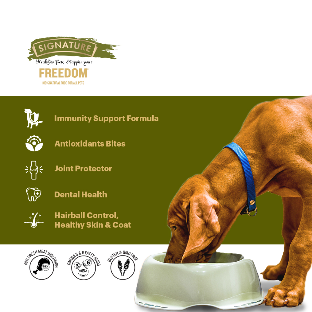 Signature Freedom Chicken and Rice Recipe Adult Dog Dry Food