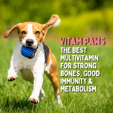 Unleash Wellness Vitam Paws Multivitamin Supplement for Dogs and Cats