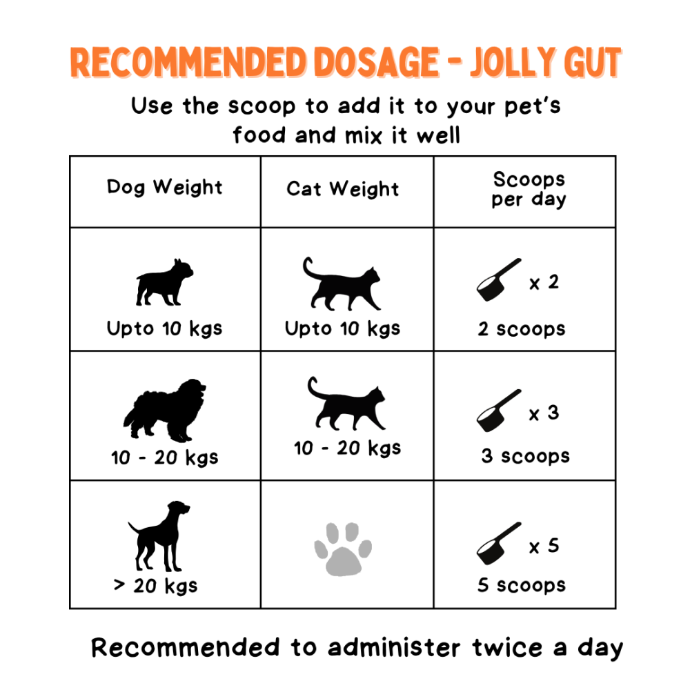 Unleash Wellness Jolly Gut Pre and Pro Biotic Supplement for Dogs and Cats