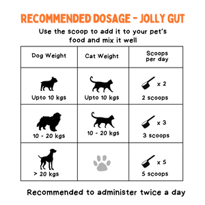 Unleash Wellness Jolly Gut Pre and Pro Biotic Supplement for Dogs and Cats