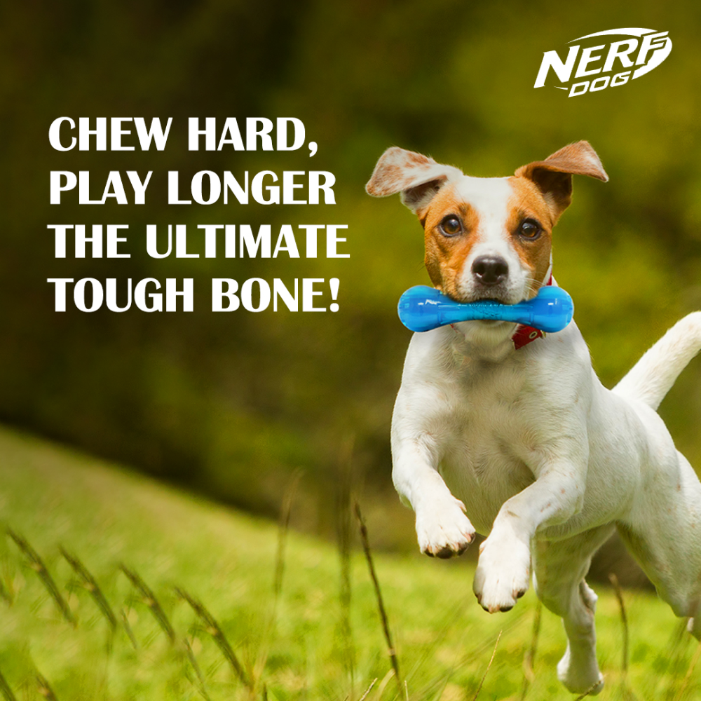 Nerf Bash Ultra Tough TPR Bone Toy for Dogs (Blue) Dogs-Toys Nerf