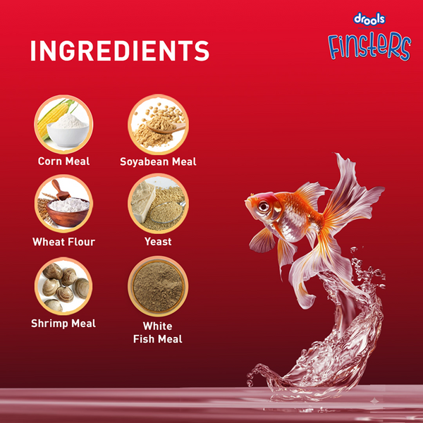 Drools Finsters Quick Red Fish Food