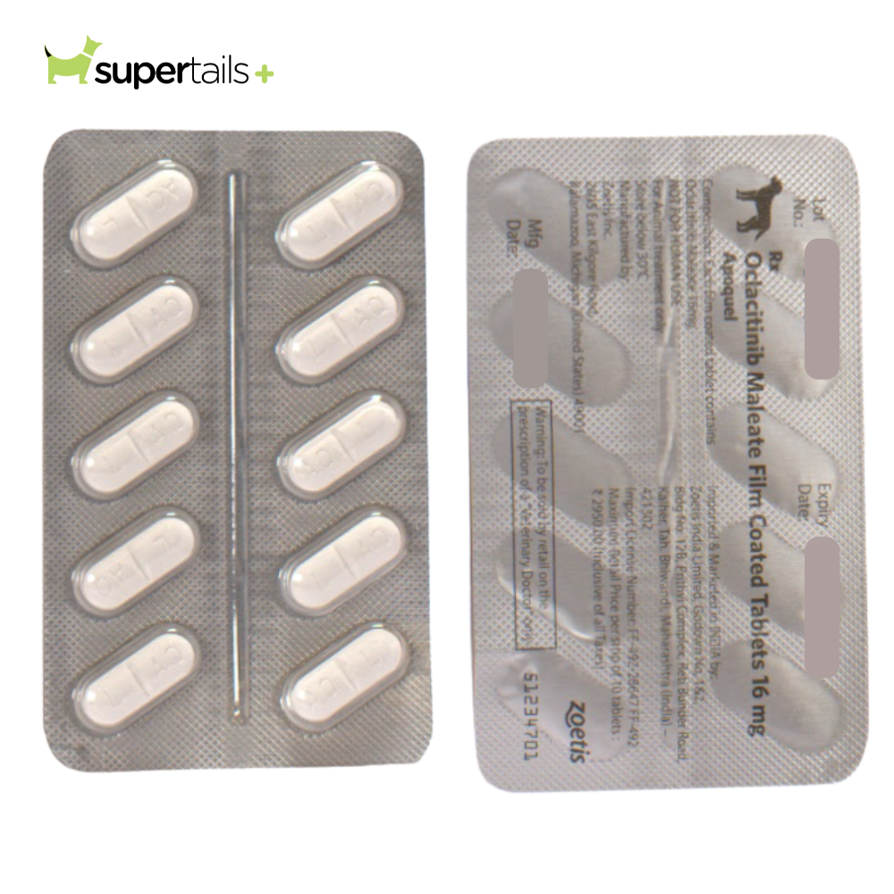 Prescription Apoquel Medicine Buy Apoquel 16mg Tablet For Dogs