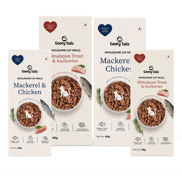 Goofy Tails Mackerel & Chicken  and Himalayan Trout & Anchovies Cat Meals Combo 40g x 4