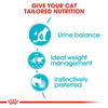 Royal Canin Urinary Care Adult Gravy Cat Wet Food Cats-Wet Food Royal Canin