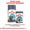 Royal Canin Urinary Care Adult Gravy Cat Wet Food Cats-Wet Food Royal Canin