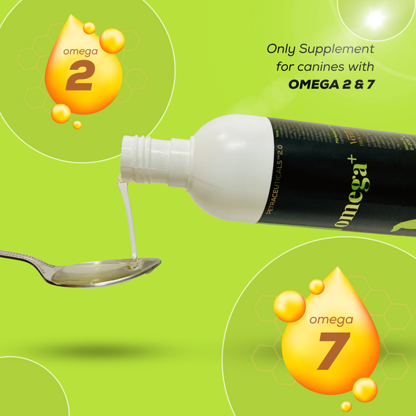 Venttura Omega 3 Plus Skin & Coat Syrup for Dogs