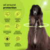 Venttura Omega 3 Plus Skin & Coat with Amino Plus Syrup for Dogs Both-Health & Wellness Venttura