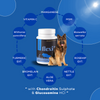 Venttura Flexi Plus Hip and Joint Chewable Tablets for Dogs Both-Health & Wellness Venttura