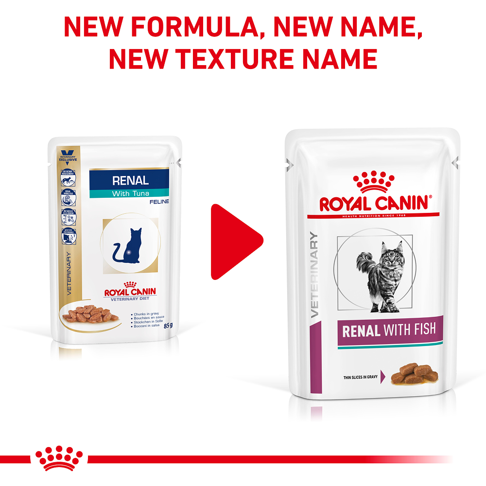 Royal Canin Veterinary Diet Renal Fish Adult Cat Wet Food Cats-Wet Food Royal Canin V-Diet