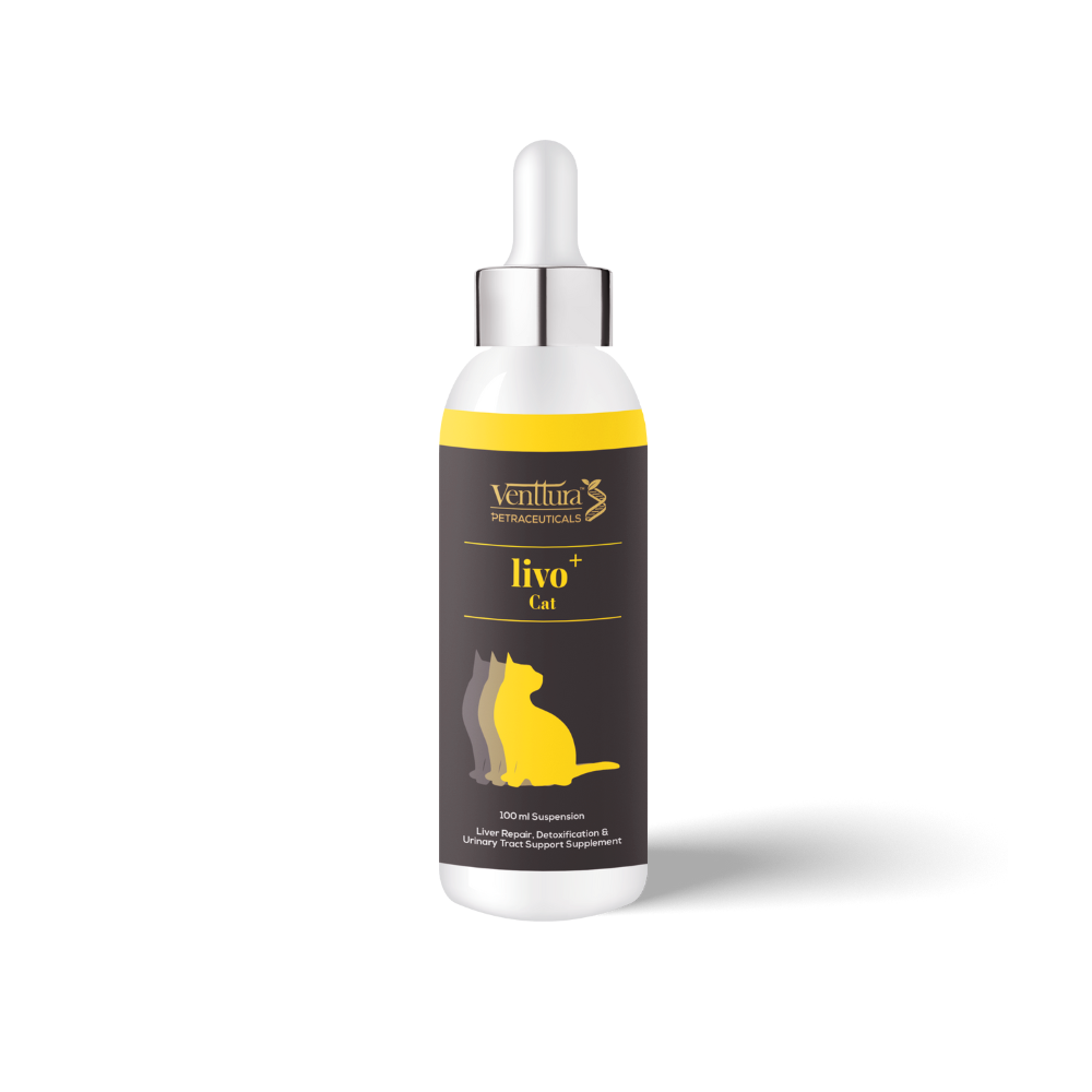 Venttura Liver Repair, Support Recovery & Recuperation Supplement for Cats Cats-Health & Wellness Venttura