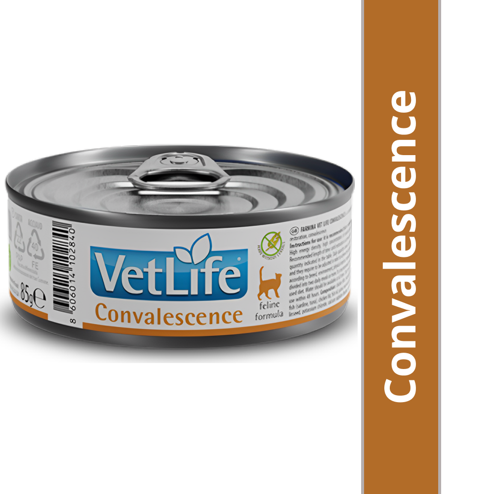 Farmina Vet Life Convalescence Feline Formula Cat Wet Food