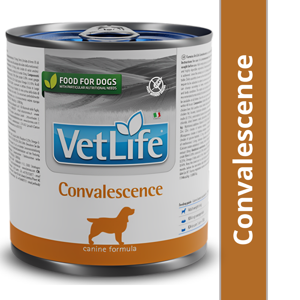 Farmina Vet Life Convalescence Canine Formula Dog Wet Food