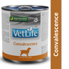 Farmina Vet Life Convalescence Canine Formula Dog Wet Food Dogs-Wet Food Farmina Vet Life