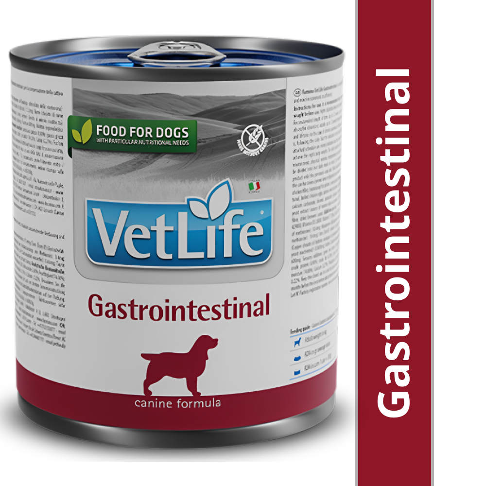 Beautiful view of Gastrointestinal Dog Food For Medium Size Breeds Prices