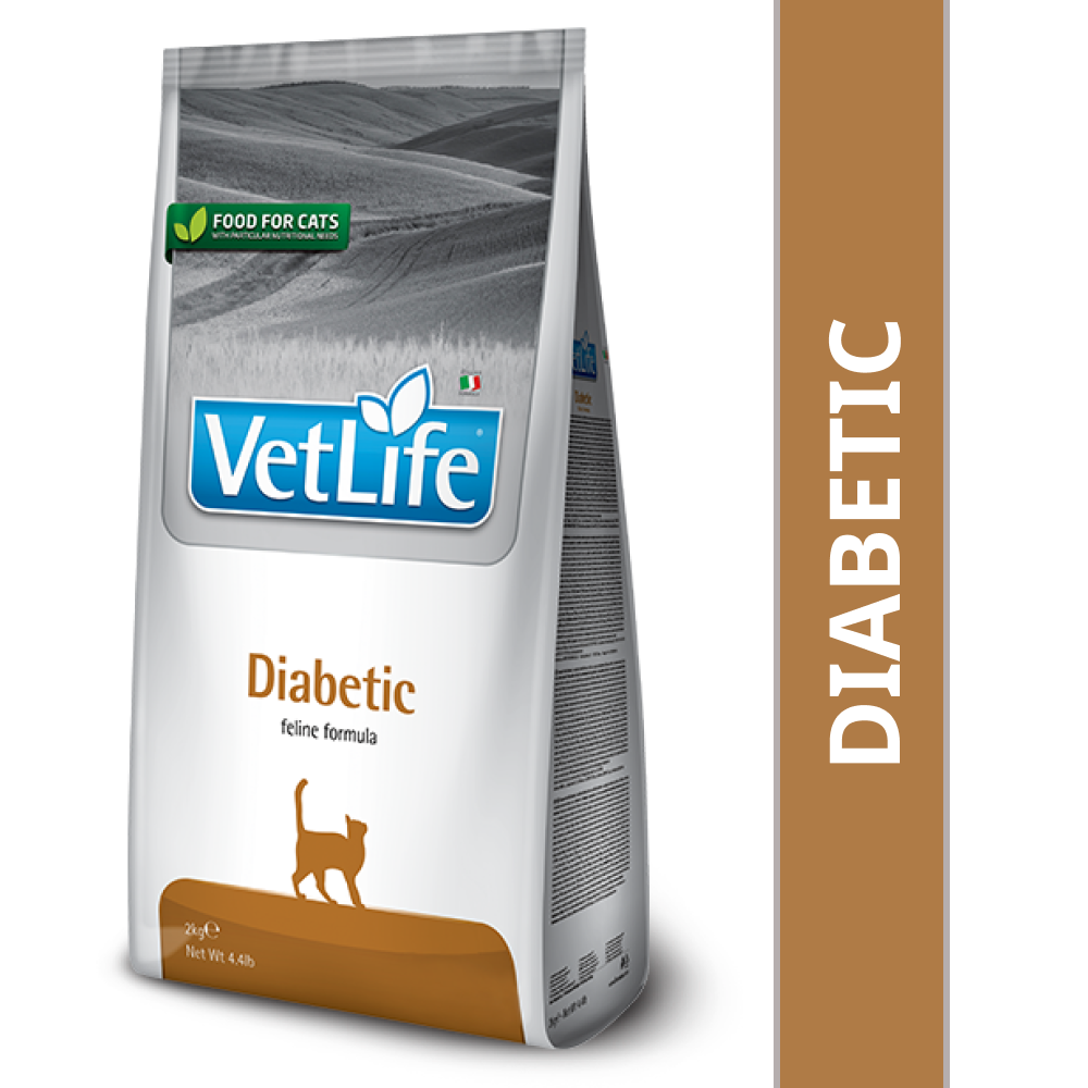 Dry food for diabetic cats best sale