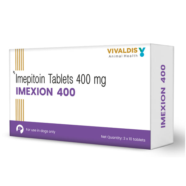 Vivaldis Imexion 400mg Imepitoin Tablets for Dogs