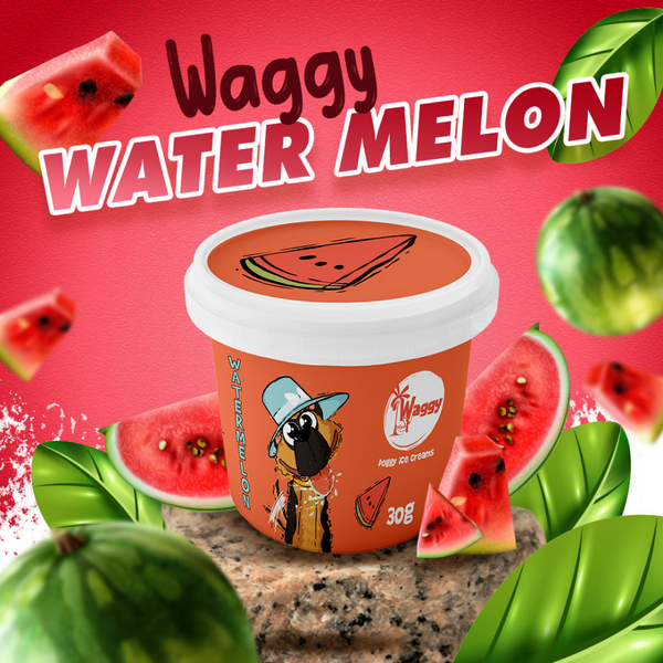 Waggy Zone Watermelon Aquamelon Ice Cream for Pets