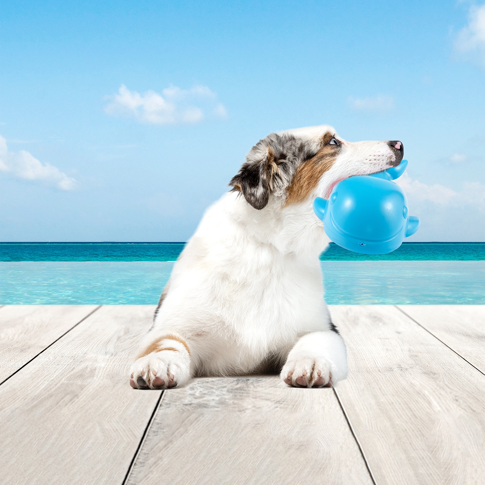 Barkbutler x Fofos Ocean Whale Squeaky Chew Toy for Dogs Dogs-Toys Barkbutler