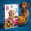 Hachi Wilson Chicken and Blueberry Ready to Eat Fresh & Wet Food for Dogs and Puppies Dogs-Wet Food Hachi Wilson