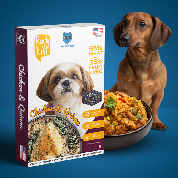 Hachi Wilson Chicken and Quinoa Flavour Ready to Eat Fresh & Wet Food for Dogs & Puppies