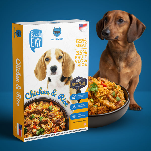 Hachi Wilson Chicken and Rice Ready to Eat Fresh & Wet Food for Dogs & Puppies