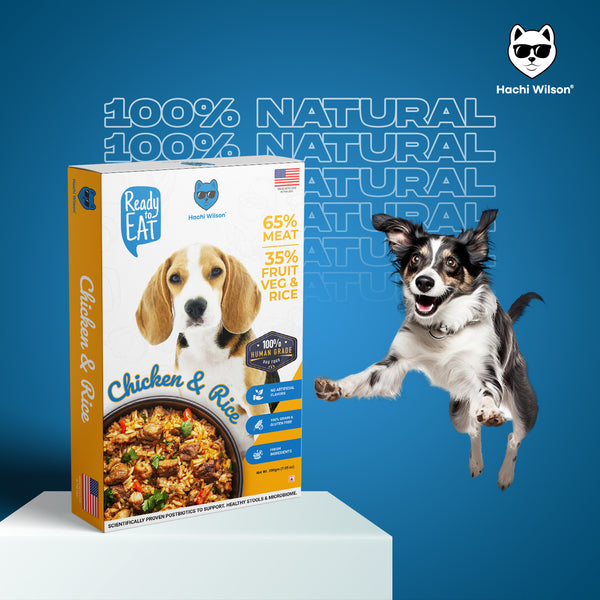 Hachi Wilson Chicken and Rice Ready to Eat Fresh & Wet Food for Dogs & Puppies