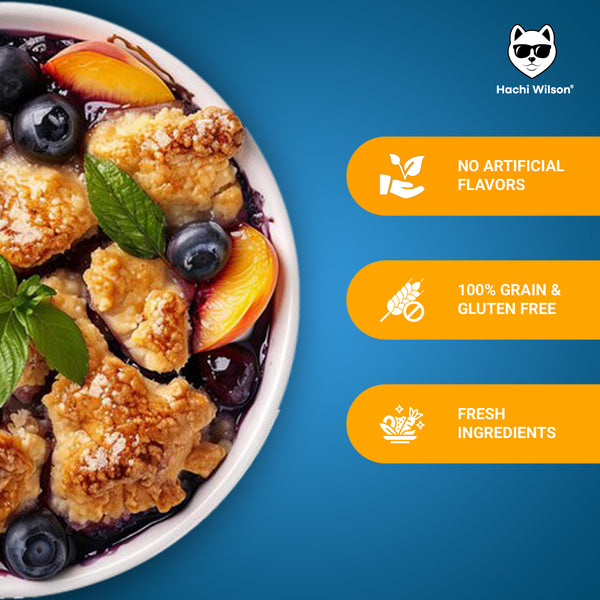 Hachi Wilson Chicken and Blueberry Ready to Eat Fresh & Wet Food for Dogs and Puppies
