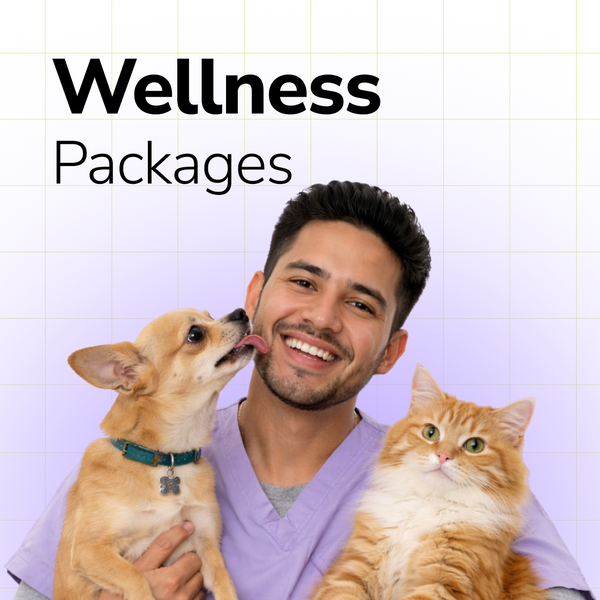 Extra 5% off on Wellness Packages