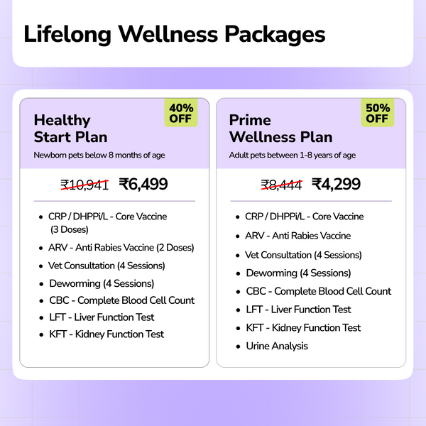 Extra 5% off on Wellness Packages