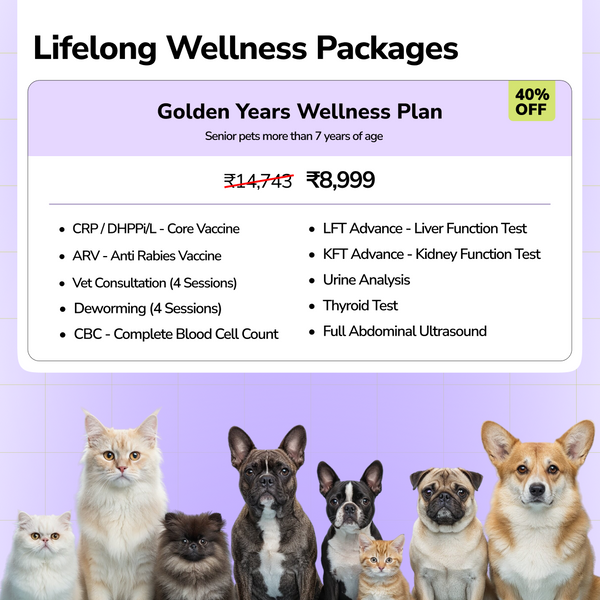 Extra 5% off on Wellness Packages