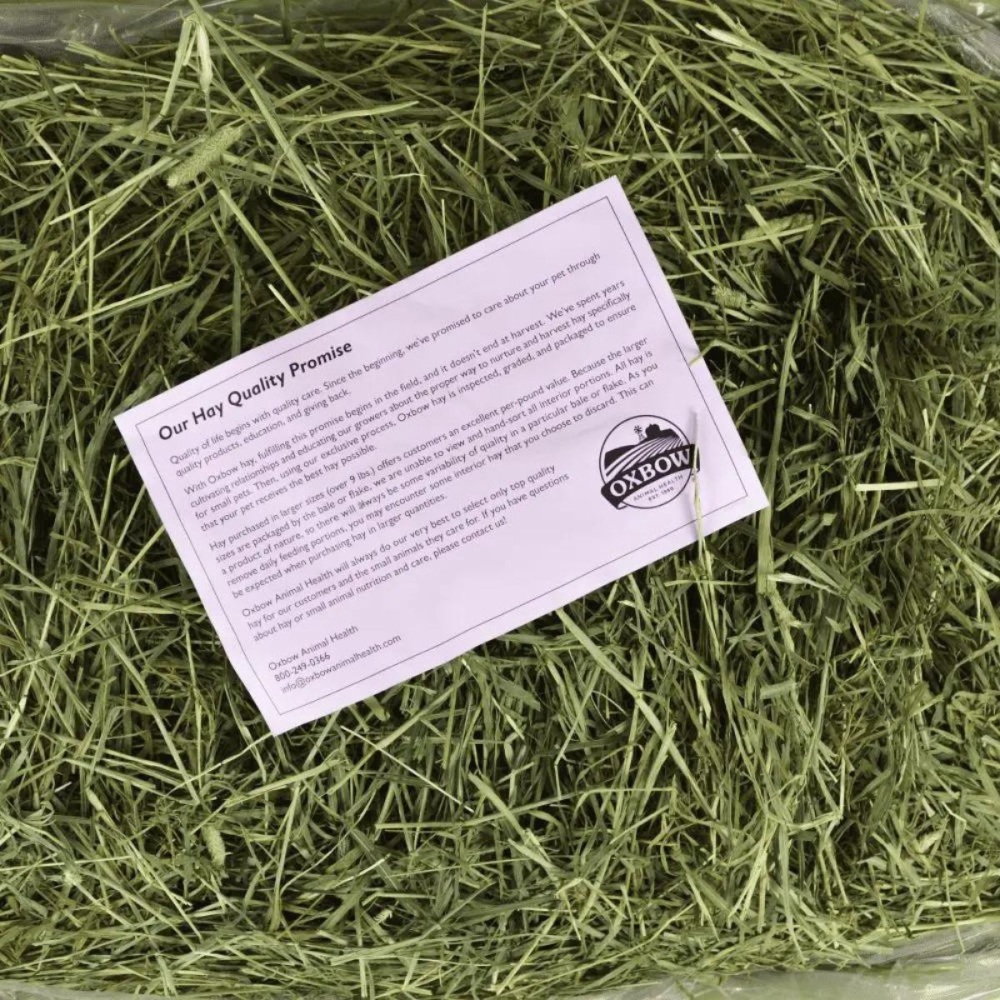 Oxbow Western Timothy Hay Dry Food For Rabbits And Guinea Pigs Supertails Oxbow Western Timothy Hay Dry Food For Rabbits And Guinea Pigs Supertails