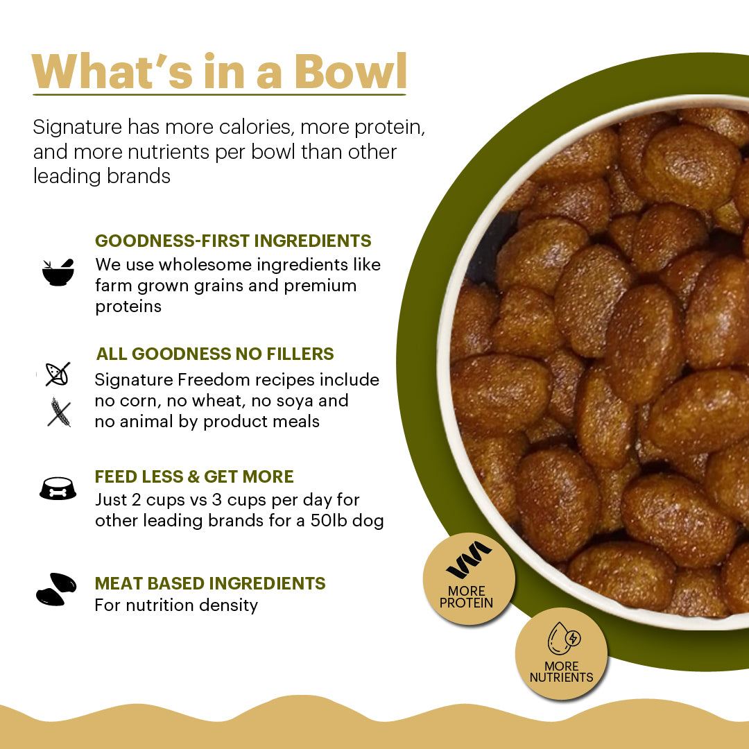Signature Grain Free Pride Professional Breeder's All Breeds Dog Dry Food Dogs- Dry Food Signature