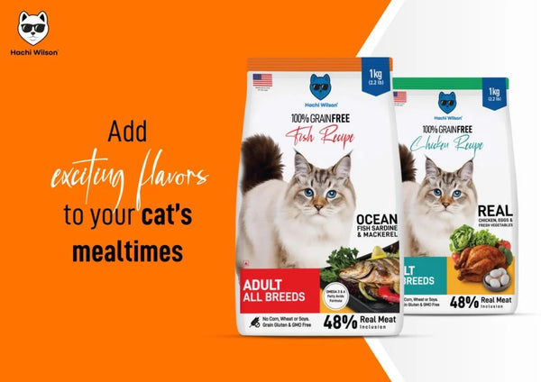 Hachi Wilson Grain Free Ocean Fish Sardine & Mackerel Adult Cat Dry Food