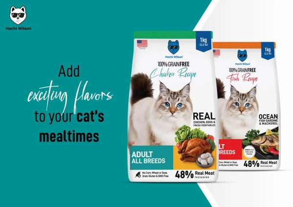 Hachi Wilson Grain Free Chicken Adult Cat Dry Food