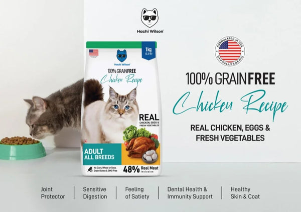 Hachi Wilson Grain Free Chicken Adult Cat Dry Food